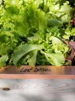 Re-Markable Raised Bed Trim 12 Re-Markable Raised Bed Trim -Garden Supplies Sales 8611757 326 tif