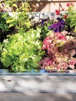 Re-Markable Raised Bed Trim 13 Re-Markable Raised Bed Trim -Garden Supplies Sales 8611758 306 tif