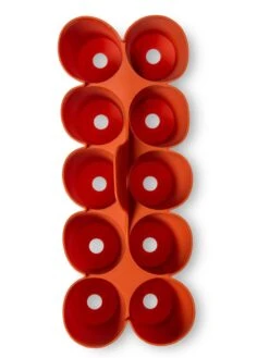 Sili-Seedlings® Seedling Tray, 10-Cell -Garden Supplies Sales 8611886 3821 tif