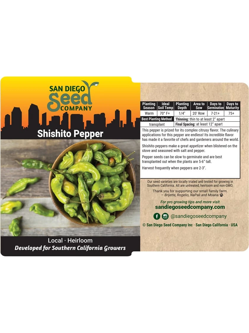 Shishito Pepper Organic Seeds 5 Shishito Pepper Organic Seeds - Image 3