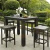 Crosley Palm Harbor Bar Height Dining Set 2 Crosley Palm Harbor Bar Height Dining Set -Garden Supplies Sales 8611948 01v palm harbor 5pc outdoor wicker counter height dining set