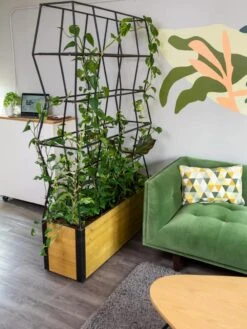 Self-Watering Partition Planter -Garden Supplies Sales 8611952 001 tif