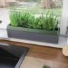 Provence Self-Watering Herb Planter -Garden Supplies Sales 8611965 01V tif