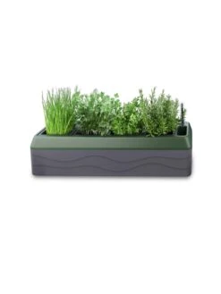 Provence Self-Watering Herb Planter -Garden Supplies Sales 8611965 03V tif