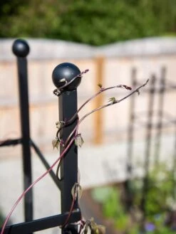 Essex Square Obelisk 12 Essex Square Obelisk -Garden Supplies Sales 8611984 278 tif