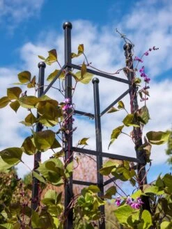 Essex Square Obelisk 10 Essex Square Obelisk -Garden Supplies Sales 8611984 354 tif