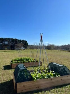 Insect And Pest Net Row Protector 11 Insect And Pest Net Row Protector -Garden Supplies Sales 8611985 04 tif