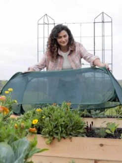 Insect And Pest Net Row Protector 13 Insect And Pest Net Row Protector -Garden Supplies Sales 8611985 8390 tif