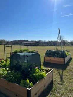 Pest Control Pop-Ups -Garden Supplies Sales 8611989 05 tif