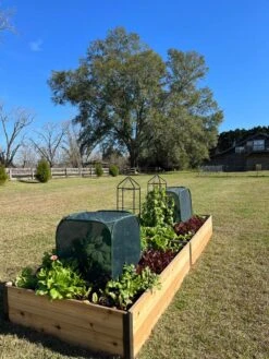 Pest Control Pop-Ups -Garden Supplies Sales 8611989 08 tif