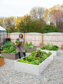 Somerset Metal Raised Beds, As Is -Garden Supplies Sales 8612020 0016 tif 1