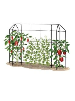 Zenith Trellis -Garden Supplies Sales 8612035 art tif