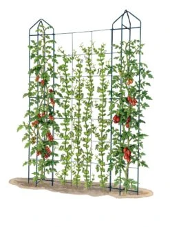 Zenith Trellis -Garden Supplies Sales 8612036 art tif