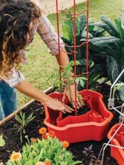 Deluxe Tomato Halos, Set Of 2 -Garden Supplies Sales 8612045 135 tif