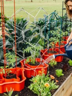 Deluxe Tomato Halos, Set Of 2 -Garden Supplies Sales 8612045 161 tif