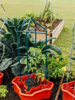 Deluxe Tomato Halos, Set Of 2 -Garden Supplies Sales 8612045 221 tif