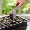 Seedling Transplant Tongs