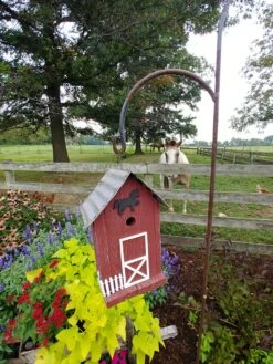 Summitville Stable Bird House -Garden Supplies Sales 8612121 05v