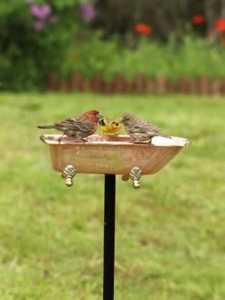 Copper Bathtub Birdbath -Garden Supplies Sales 8612202 01v copper bathtub birdbath