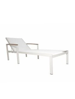 Braylee Reclining Chaise Lounge 13 Braylee Reclining Chaise Lounge -Garden Supplies Sales 8612262 07v