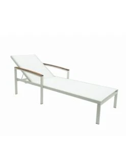 Braylee Reclining Chaise Lounge 17 Braylee Reclining Chaise Lounge -Garden Supplies Sales 8612262 08v