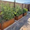 Nice Corten Trough Planters With Trellis -Garden Supplies Sales 8612390 02V jpg