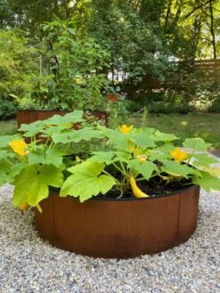 Birdies™ Corten Steel Round Raised Beds -Garden Supplies Sales 8612422 0484 tif