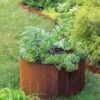 Birdies™ Corten Steel Round Raised Beds -Garden Supplies Sales 8612423 1537 tif