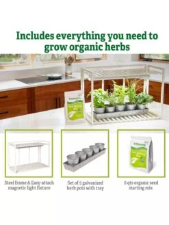 Tabletop Grow Kit -Garden Supplies Sales 8612507 6