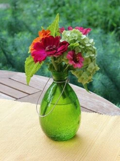 Achla Designs Teardrop Rooting Vase -Garden Supplies Sales 8612530fg 01v