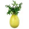Achla Designs Teardrop Rooting Vase