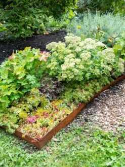 Corten Angle Landscape Edging 44", Set Of 2 -Garden Supplies Sales 8612634 0020