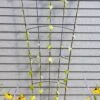 Flock Of Friends Wall Trellis -Garden Supplies Sales 8612636 0029 flock of friends wall trellis