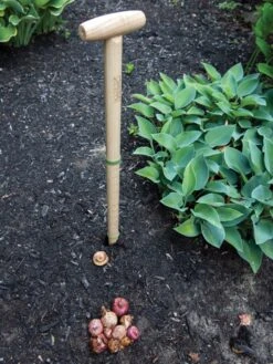 Wicked Big Dibber -Garden Supplies Sales 8612667 0028