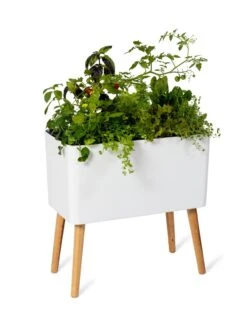 Ava Self-Watering Rectangular Planter -Garden Supplies Sales 8612691 0014