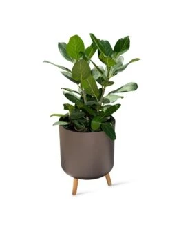 Ava Self-Watering Round Planter 13 Ava Self-Watering Round Planter -Garden Supplies Sales 8612692 0003