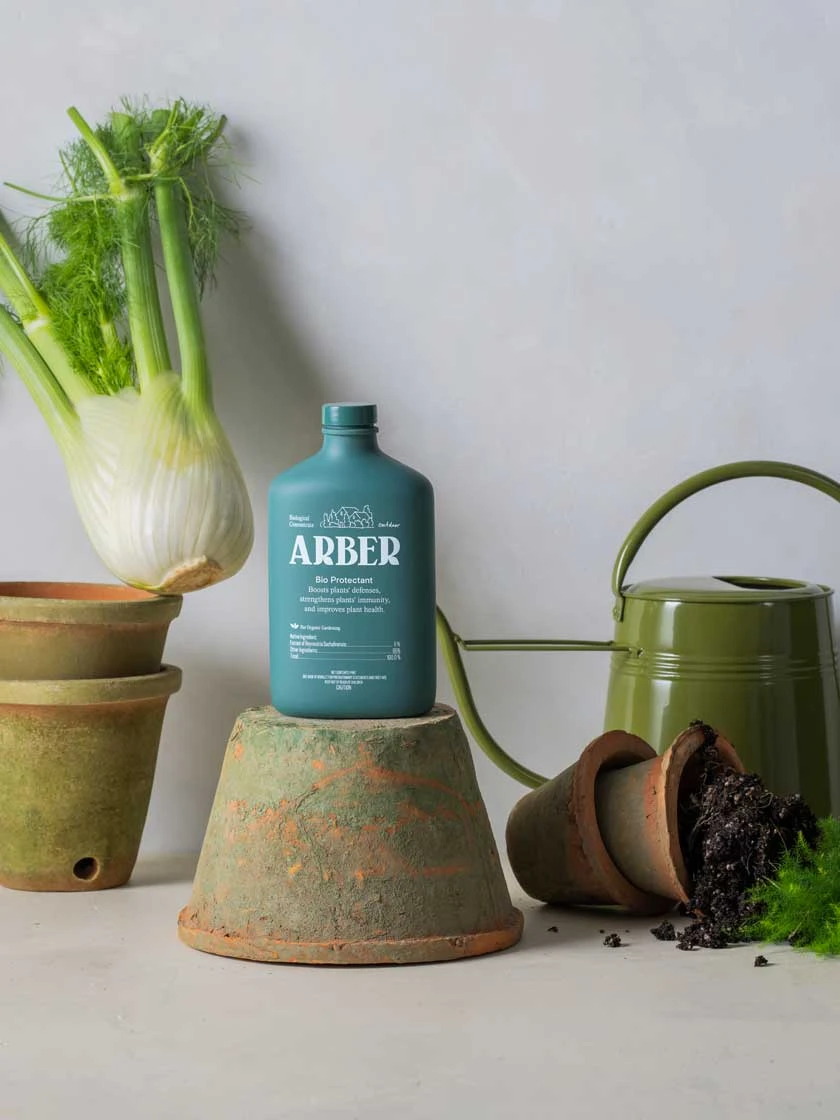 Organic Bio Protectant Outdoor 6 Organic Bio Protectant Outdoor - Image 4