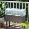 Self-Watering Standing Salad Planter With Cloche -Garden Supplies Sales 8612702 2032 tif