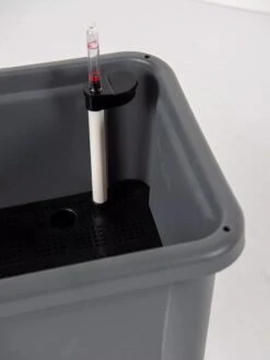 Self-Watering Standing Salad Planter With Cloche 14 Self-Watering Standing Salad Planter With Cloche -Garden Supplies Sales 8612702 305 tif