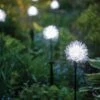 Dandelion Solar Stake