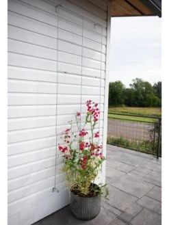 Chicken Wire Wall Trellis 16 Chicken Wire Wall Trellis -Garden Supplies Sales 8612717 0081