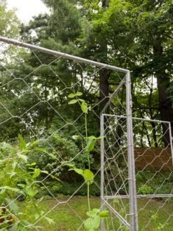 Chicken Wire Pea Trellis -Garden Supplies Sales 8612718 7302