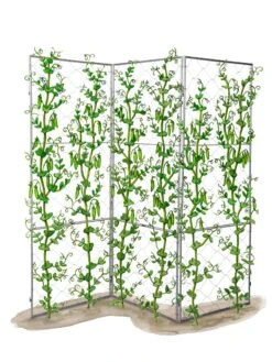 Chicken Wire Pea Trellis -Garden Supplies Sales 8612718 peatrellis art chicken wire pea trellis