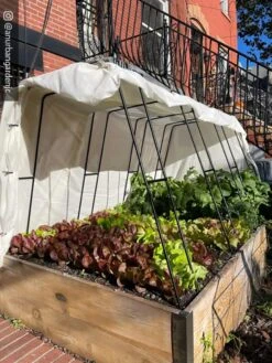 Cotton All Purpose Garden Cover 11 Cotton All Purpose Garden Cover -Garden Supplies Sales 8612816 01CUST