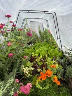 All-Purpose Garden Fabric 14 All-Purpose Garden Fabric -Garden Supplies Sales 8612816 01TEST