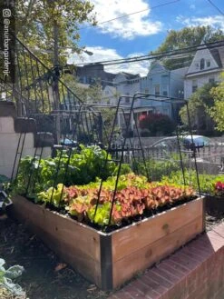 Zenith Garden Hoops, Set Of 4 16 Zenith Garden Hoops, Set Of 4 -Garden Supplies Sales 8612816 02CUST