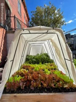 Cotton All Purpose Garden Cover 12 Cotton All Purpose Garden Cover -Garden Supplies Sales 8612816 03CUST