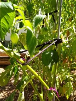 Farmyarn® Multipurpose Garden Tie, 2 Pack -Garden Supplies Sales 8612948 02v