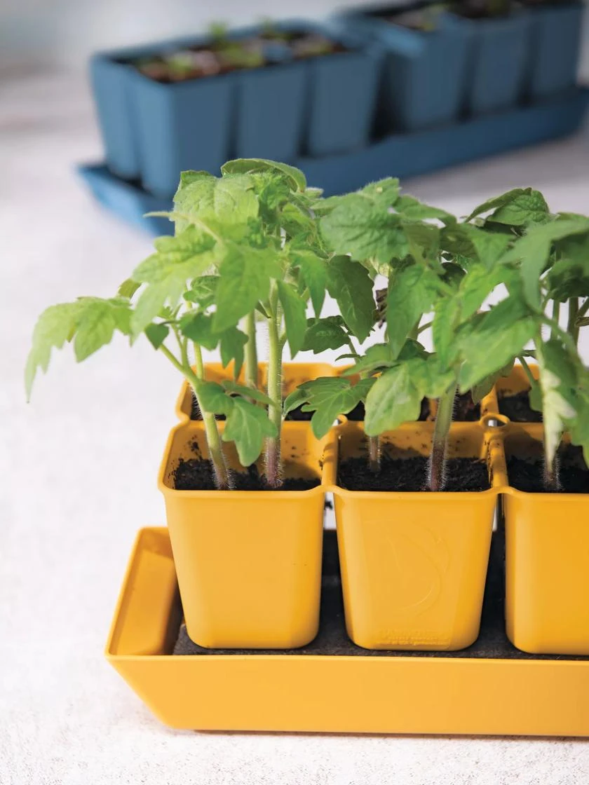 Gardener's Best® XL Seed Starting Kit 3 Gardener's Best® XL Seed Starting Kit