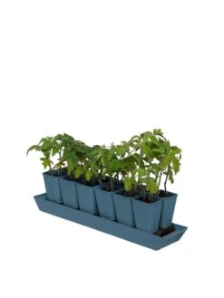 Gardener's Best® XL Seed Starting Kit 18 Gardener's Best® XL Seed Starting Kit -Garden Supplies Sales 8613066 0029